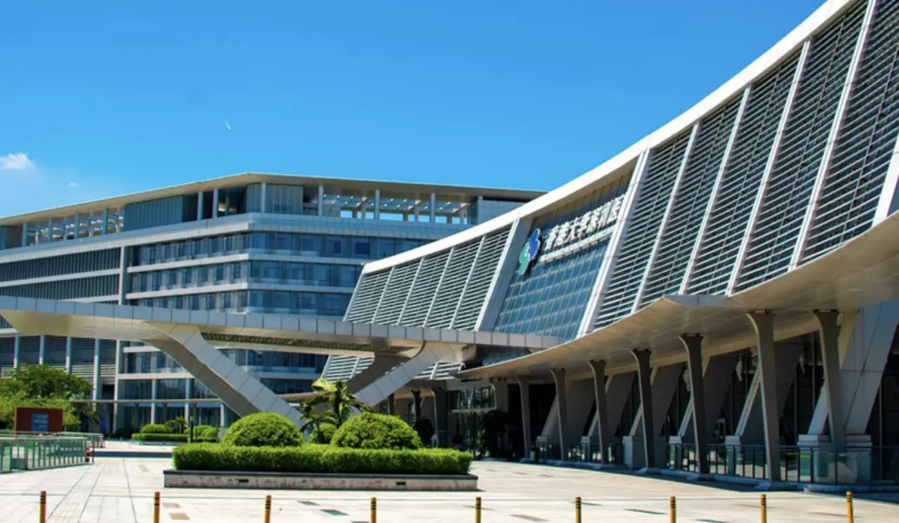 The University of Hong Kong–Shenzhen Hospital